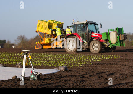 External GPS receiver used in Burscough, Lancashire, UK 25th March, 2016.  UK Weather.  A landscape being covered in white fleece as farmers use Trimble GPS tractor satellite guidance systems equipment to plot their fields and plant this seasons’ lettuce seedlings. Horticultural fleece is a thin, unwoven, polypropylene fabric that is used as a floating mulch to protect both early and late crops and other delicate plants from cold weather and frost, as well as insect pests during the normal growing season. Stock Photo