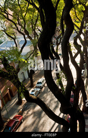 Buenos Aires Stock Photo
