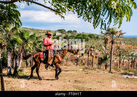 Valley de los Ingenios or Valley of the Sugar Mills, Cuba Stock Photo