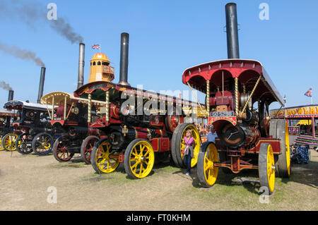 A display of Showman's Conversion road locomotives at the Great Dorset Steam Fair, Tarrant Hinton Blandford Forum, England Stock Photo