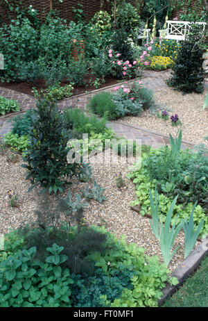 Herbs growing in a formal potager garden with pink roses and gravel areas Stock Photo