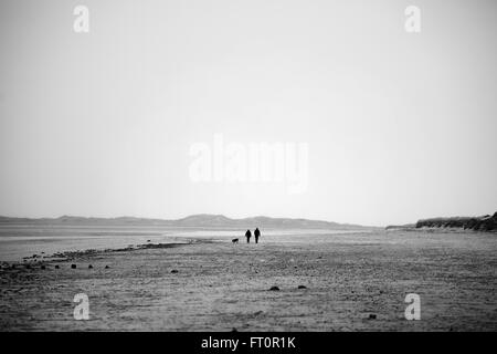 Man and a woman walking with a dog on Brancaster beach, Norfolk, England, UK. Stock Photo