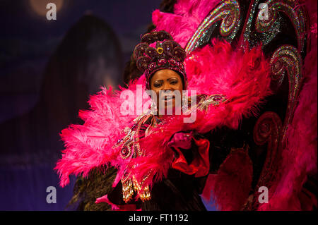 Samba dancer in a variety theater, Rio de Janeiro, Rio de Janeiro, Brazil Stock Photo