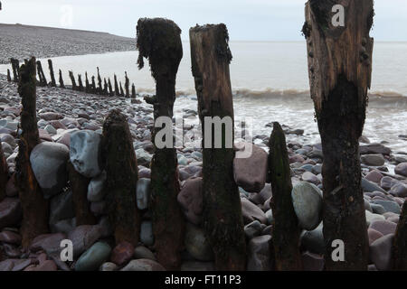 Old wooden groynes weathered and worn down by the sea on the beach at porlock weir in somerset with the town and harbour behind Stock Photo