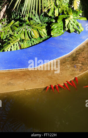 YSL's garden, Majorelle Garden, Marrakech, Morocco Stock Photo