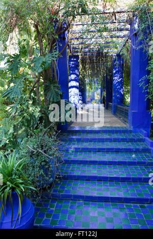 YSL's garden, Majorelle Garden, Marrakech, Morocco Stock Photo