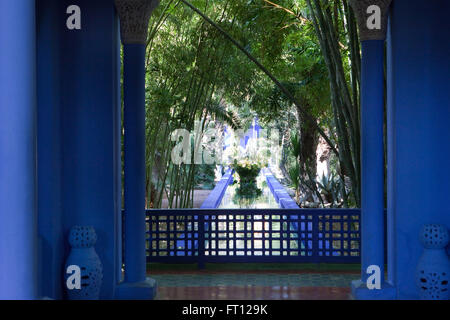 YSL's garden, Majorelle Garden, Marrakech, Morocco Stock Photo