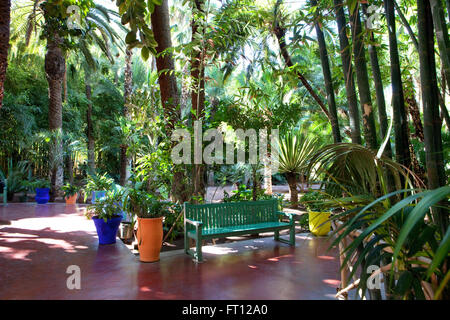 YSL's garden, Majorelle Garden, Marrakech, Morocco Stock Photo