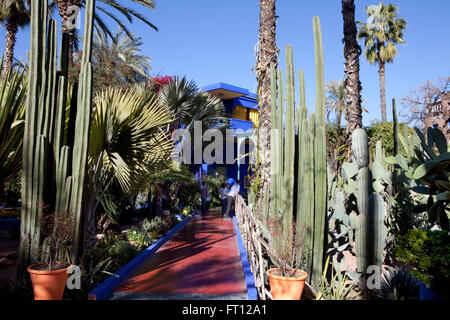 YSL's garden, Majorelle Garden, Marrakech, Morocco Stock Photo