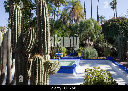 YSL's garden, Majorelle Garden, Marrakech, Morocco Stock Photo