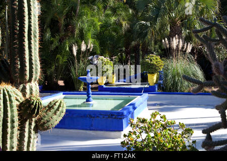 YSL's garden, Majorelle Garden, Marrakech, Morocco Stock Photo