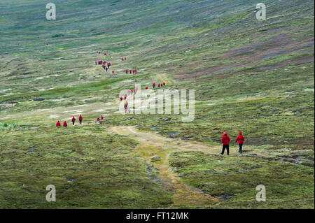 Passengers of expedition cruise ship MS Hanseatic Hapag-Lloyd Cruises wearing red jackets on a green hillside, Carcass Island, Falkland Islands, British Overseas Territory, South America Stock Photo