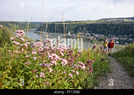 Hiking along hiking trail Rheinsteig, near Sankt Goarshausen, Rhineland-Palatinate, Germany Stock Photo