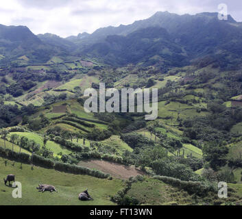 Marlboro Hills in Batanes, Batan Island, Batanes, Philippines, Asia Stock Photo