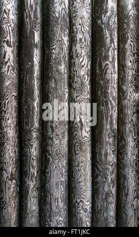Pattern of six, closely side by side standing, peeled, vertical tree trunks with gray and white texture Stock Photo
