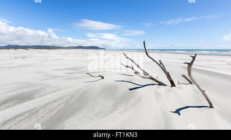 At the sand dunes of Farewell Spit, South Island, New Zealand Stock Photo