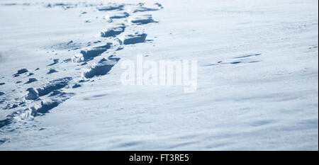 Deep footprints in fresh white illuminated snow at shallow angle. Stock Photo