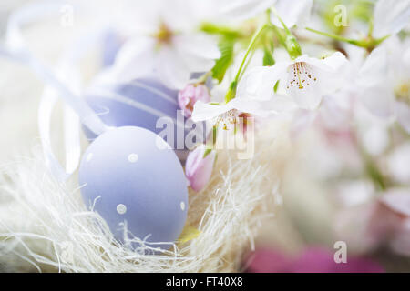 Soft pastel Easter eggs and cherry blossoms, high key image. Stock Photo