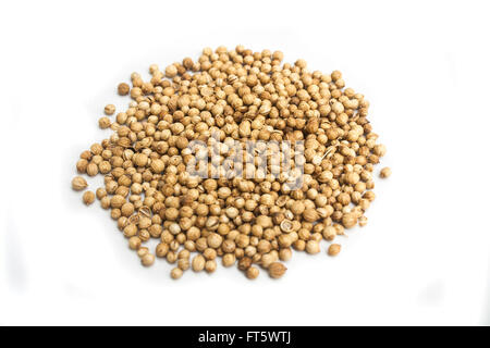 Pile of Coriander Seeds (Coriandrum sp.) Stock Photo Stock Photo