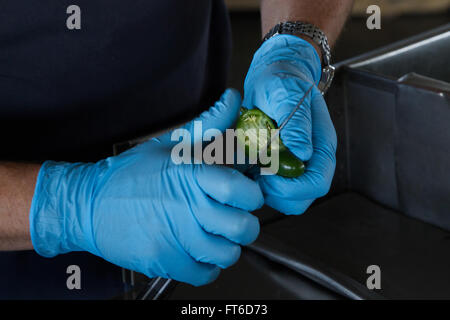 U.S. Customs and Border Protection (CBP) Agriculture Specialist inspects a shipment of peppers for pests and disease at a Port of Entry in El Paso, Texas. Photographer: Donna Burton Stock Photo