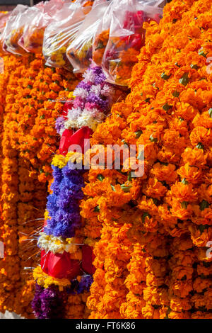 Nepal, Kathmandu. Garlands of Marigolds, used for funerals and for ...