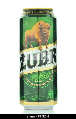 Zubr lager beer isolated on white background. Stock Photo