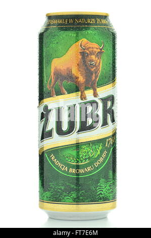 Zubr lager beer isolated on white background. Stock Photo