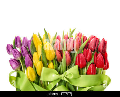 Fresh tulips. Spring flowers with water drops over white background Stock Photo