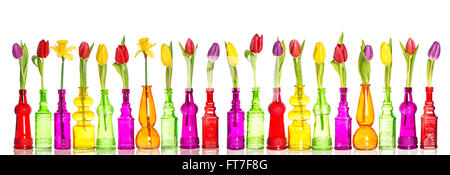 Colorful flowers tulips and daffodils in glass bottles on white background Stock Photo