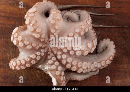 An octopus on a wooden cutting board Stock Photo