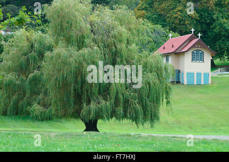 Old willow tree at Port Arthur Tasmania Stock Photo