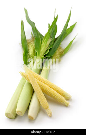 baby corn, young corn, mini corn isolated on white background Stock Photo