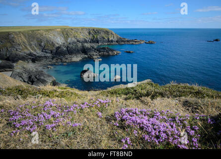 Atlantic coast in Pembrokeshire Coast National Park, UK Stock Photo