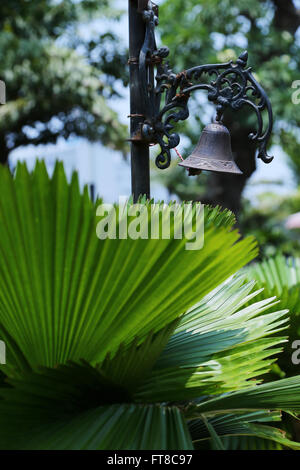 composition in photography, element design photo, line, diagonal ...