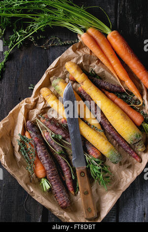 Heap of colorful raw carrots with fresh thyme herbs and vintage knife on paper bag over black wooden surface. Top view. Stock Photo