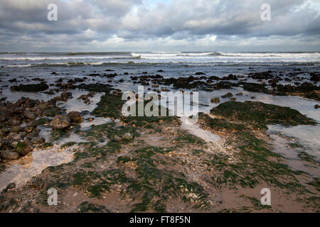 Hunstanton beach with the seaweed covered boulders and the carstone cliffs. Stock Photo