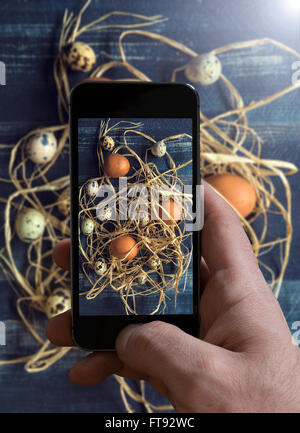 Man photographing Quail and chicken eggs in the nest,Easter concept Stock Photo
