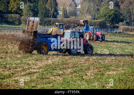 Tractor with trailer spreading manure on fiied in early spring prior to ploughing. The manure acts as a natural fertiliser. UK Stock Photo