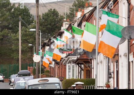 West Belfast, Ireland. 25th March, 2016. Many houses in West Belfast Fly the Flag of the Republic of Ireland during the Preparations to Commemorate the 100th Anniversary of the Easter Rising Credit:  Bonzo/Alamy Live News Stock Photo
