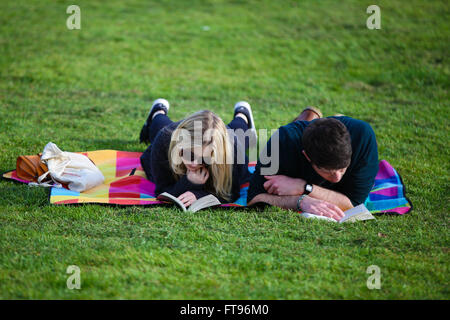North London, UK. 25th March, 2016. People sitting, walking, admiring the view and reading by making the most of a day of fine warm sunshine at Alexandra Palace in North London on Good Friday - start of the Easter Weekend of Bank Holidays Credit:  Dinendra Haria/Alamy Live News Stock Photo