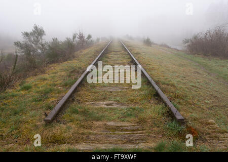 Old railway line 'Borkense Course' in the municipality of Winterswijk shrouded in the fog. Stock Photo