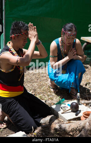 Traditional Practices being used by Healers on the Island of Siquijor,Philippines at the annual Healing Festival Stock Photo