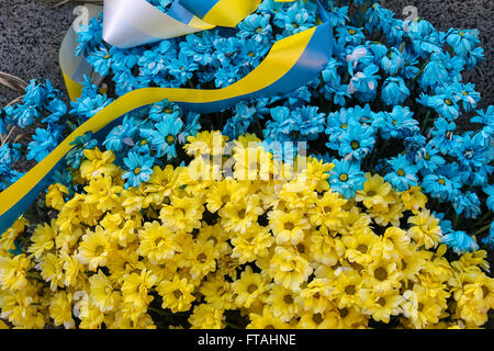 Blue and yellow bouquet in colors of national flag of Ukraine with strip Stock Photo