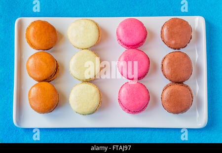 Rectangular white ceramic plate with rows of colorful raspberry, chocolate, pistachio and coffee macarons against a cyan backgro Stock Photo