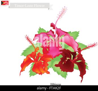 Timor-Leste Flower, Illustration of Hibiscus Flowers. The National Flower of Timor-Leste. Stock Vector