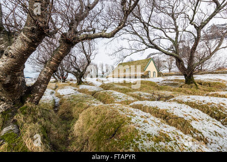 Hofskirkja Church, dedicated to saint Clement, was built in 1884, and was the last turf church built in the old architectural st Stock Photo