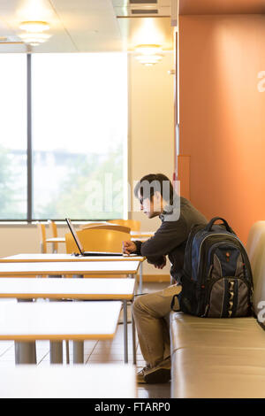 An Asian male college student at the American University of Washington studying using laptop computer, Washington, United States Stock Photo