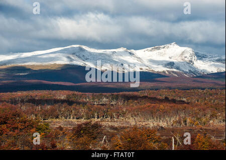 Autumn in Patagonia. Cordillera Darwin, part of Andes range, Isla Grande de Tierra del Fuego, Chilean territory, view from the A Stock Photo