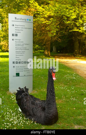 BRD, Deutschland, NRW, Rhein-Kreis Neuss, Grevenbroich, Aldenhoven, Schloss Dyck, Schlosspark Stock Photo