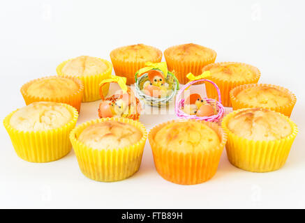 Chicks between muffins. Stock Photo